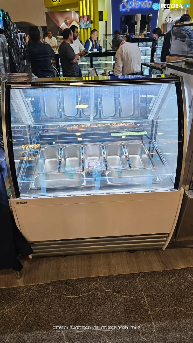VITRINA EXHIBIDORA DE HELADOS MIGSA DW-7