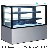 Vista 1